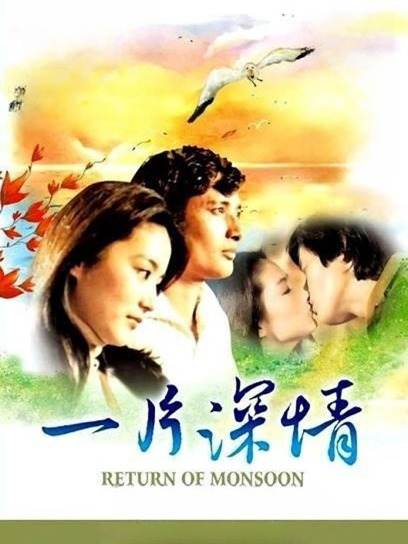 一片情深