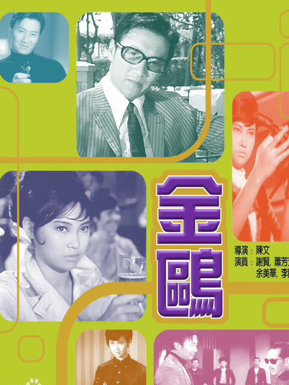金鸥