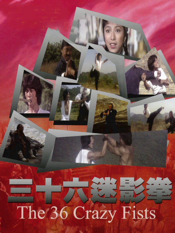 三十六迷形拳