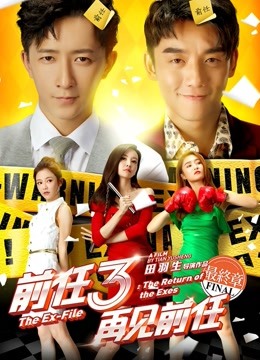 前任3:再见前任